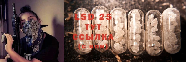 ECSTASY Алзамай